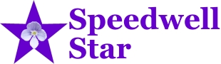 SpeedWellStarLogo